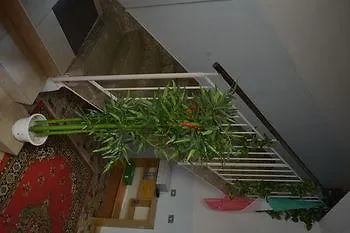 فندق B&B Col Moschin ميستر